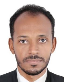 Waleed Haidar